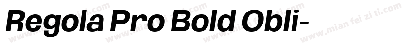 Regola Pro Bold Obli字体转换